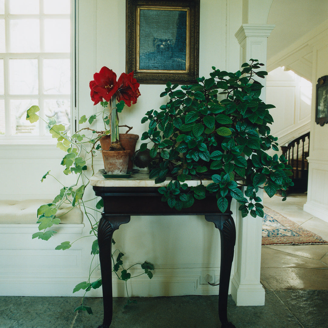 Scenery Number Five, Cover Three