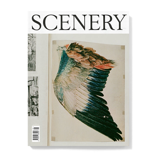 Scenery Number One, Cover Four