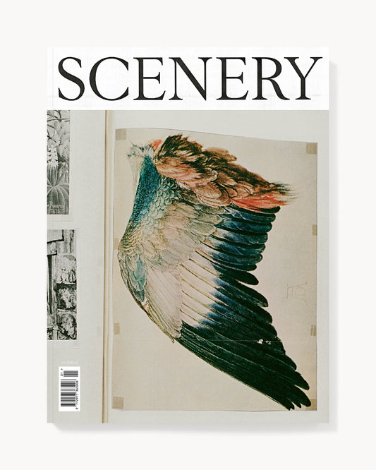Scenery Number One, Cover Four