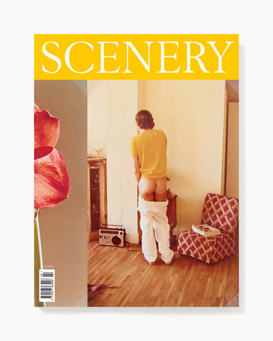 Scenery Number Two, Cover One