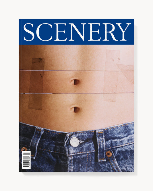 Scenery Number Three, Cover One