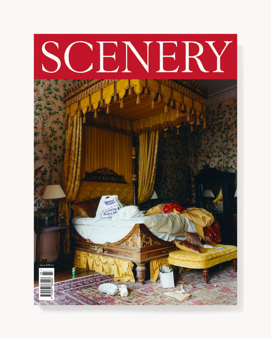 Scenery Number Three, Cover Three