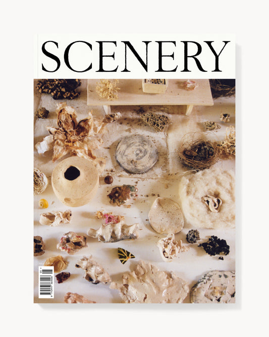 Scenery Number Five, Cover Four